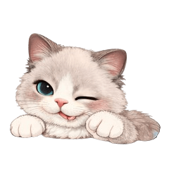 Lilac Ragdoll Cats: Making Up with Love