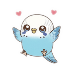 黄色と水色の可愛いセキセイインコ