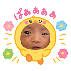 Shiho_20260113110032