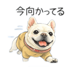 Daifuku san Soft Photo Stickers