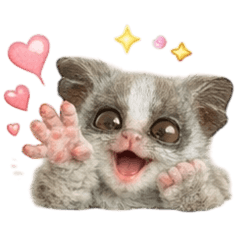 AMIty_20260113110712