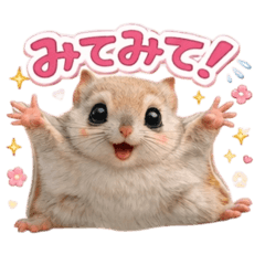 AMIty_20260113114626