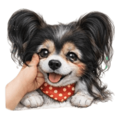 AMIty_20260110224937