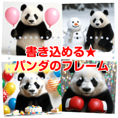 書き込める♥冬パンダやお誕生日お祝いなど