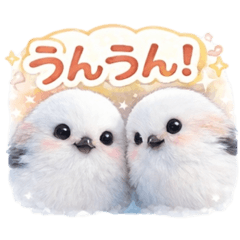 AMIty_20260113122223