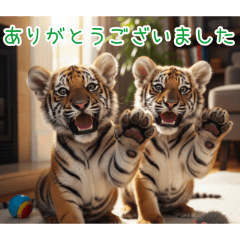 [ありがとうございました専用]トラの子