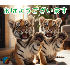 [おはようございます専用]トラの子