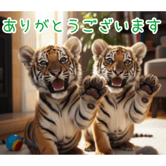 [ありがとうございます専用]トラの子