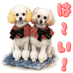 ポロパークのふたりで大はしゃぎ♪