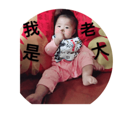 棉花糖-我是老大