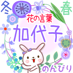 加代子の花の言葉◆冬から春●のんびり