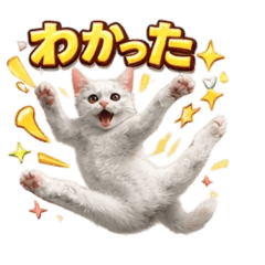 AMIty_20260113134538