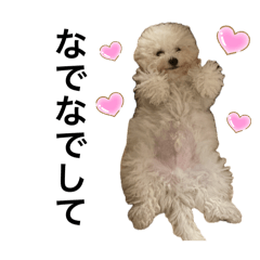 sugar_20260113143000