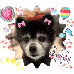 Ayumi_20260113145742