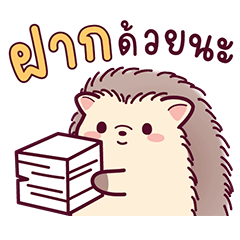 Rocky the brown hedgehog.