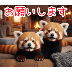 [お願いします専用]レッサーパンダ