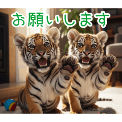 [お願いします専用]トラの子