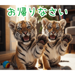 [お帰りなさい専用]トラの子