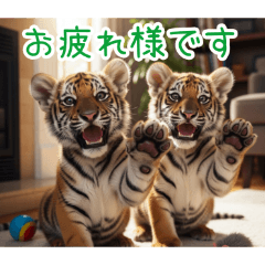 [お疲れ様です専用]トラの子