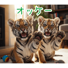 [オッケー専用]トラの子