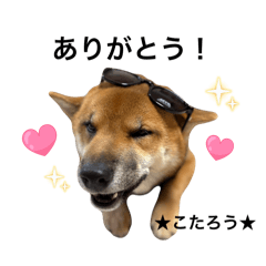 haruna_20260113143630