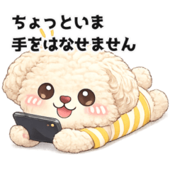 Fuwamoko Toy Poodle - Daily Conversation