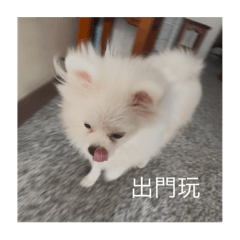 我叫屁眼 屁眼是我1