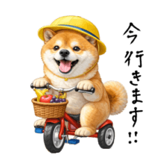 Shiba Inu sticker for daily use