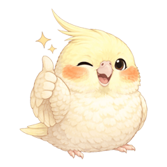 Fluffy Cockatiel Everyday