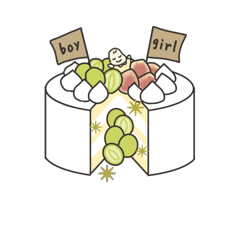 gender reveal3