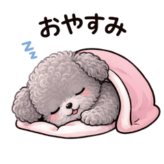 CuteToyPoodleDailyStickers