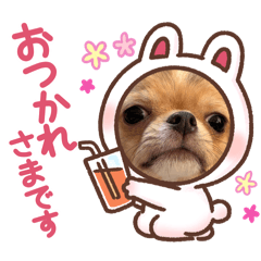 hauru_20260113171608