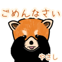 Yasashi's lesser panda