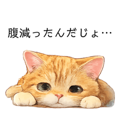 Asami_20260113173325