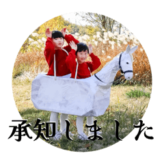 yamanaka_20260113182847