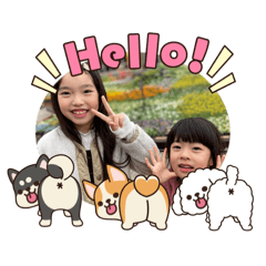 emiry_20260113211542