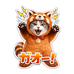 papi4_20260113212817