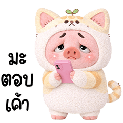 Grumpy Pig cute cat outfit