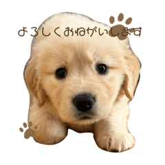 momo_20260113193625