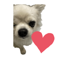 PiiChan_20260113221219