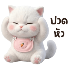 เหมียวเหมียวเหมียว 3