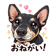 MUGITA_20260113201422