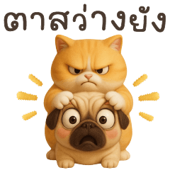 Meow and Pug - are you awake yet?