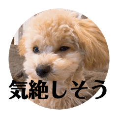 tsuyu_20260113231332