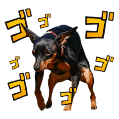 hamakoufuku_20260113231147