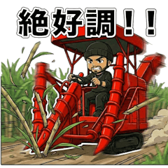 Agriculture_Sugarcane harvest-Work use