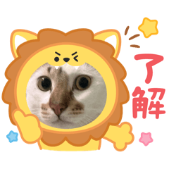 貓咪鼻鼻的表情包