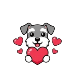 For the person I like Valentine's Day