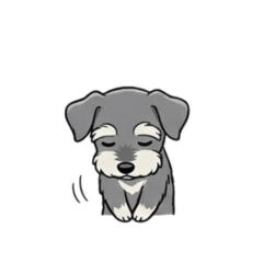 Mini Schnauzer Daily Stickers(Work)