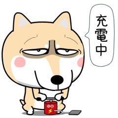 イヌに転生した猫 2